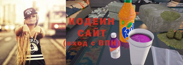 прущий лед Алзамай