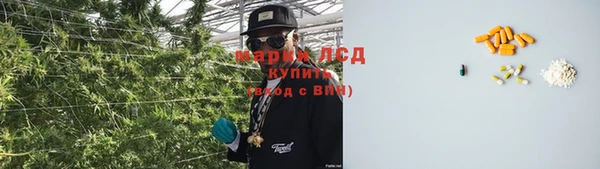 прущий лед Алзамай