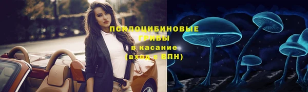 прущий лед Алзамай