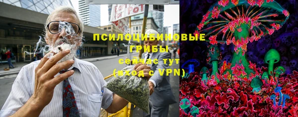 прущий лед Алзамай
